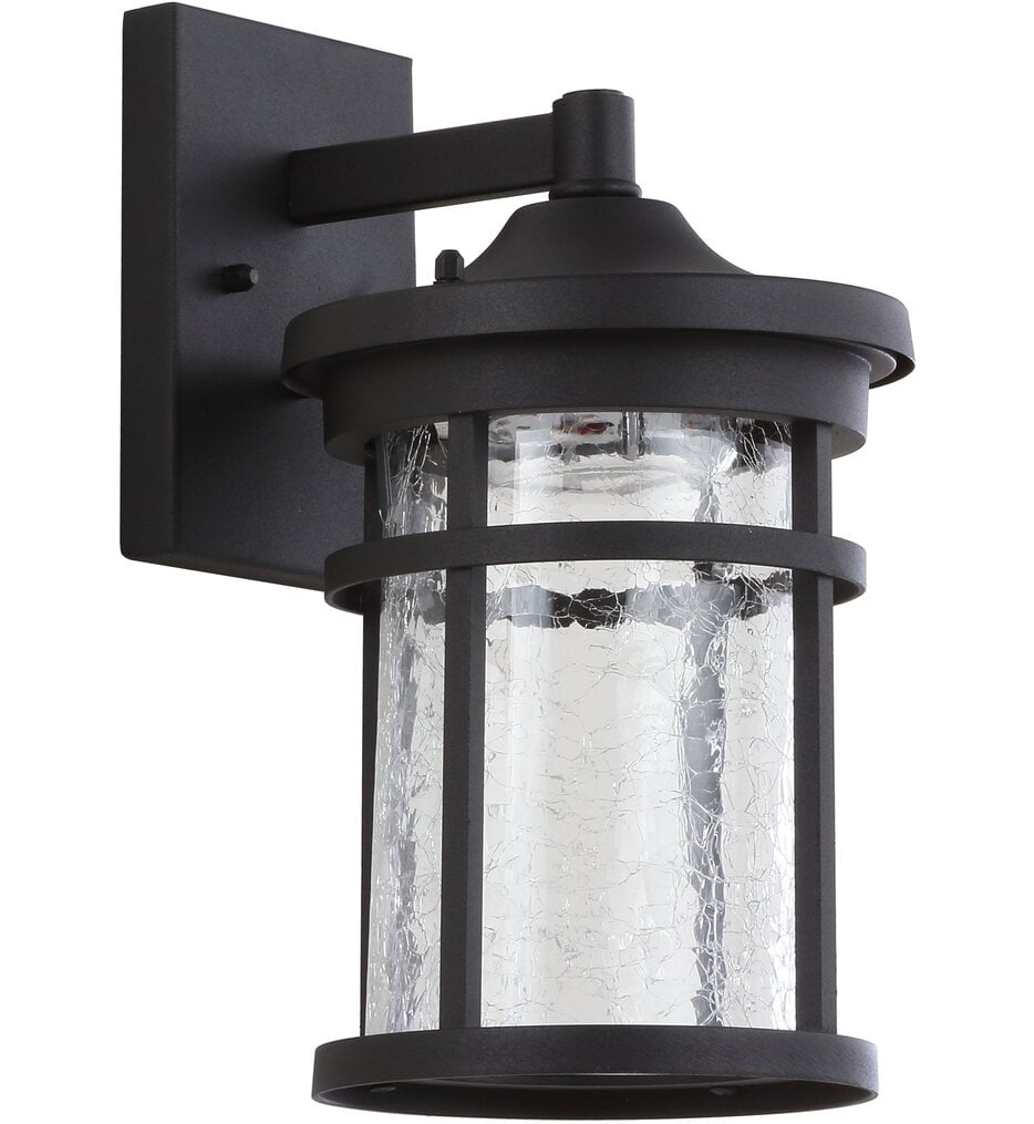 Campo 11.50" Outdoor Wall Sconce