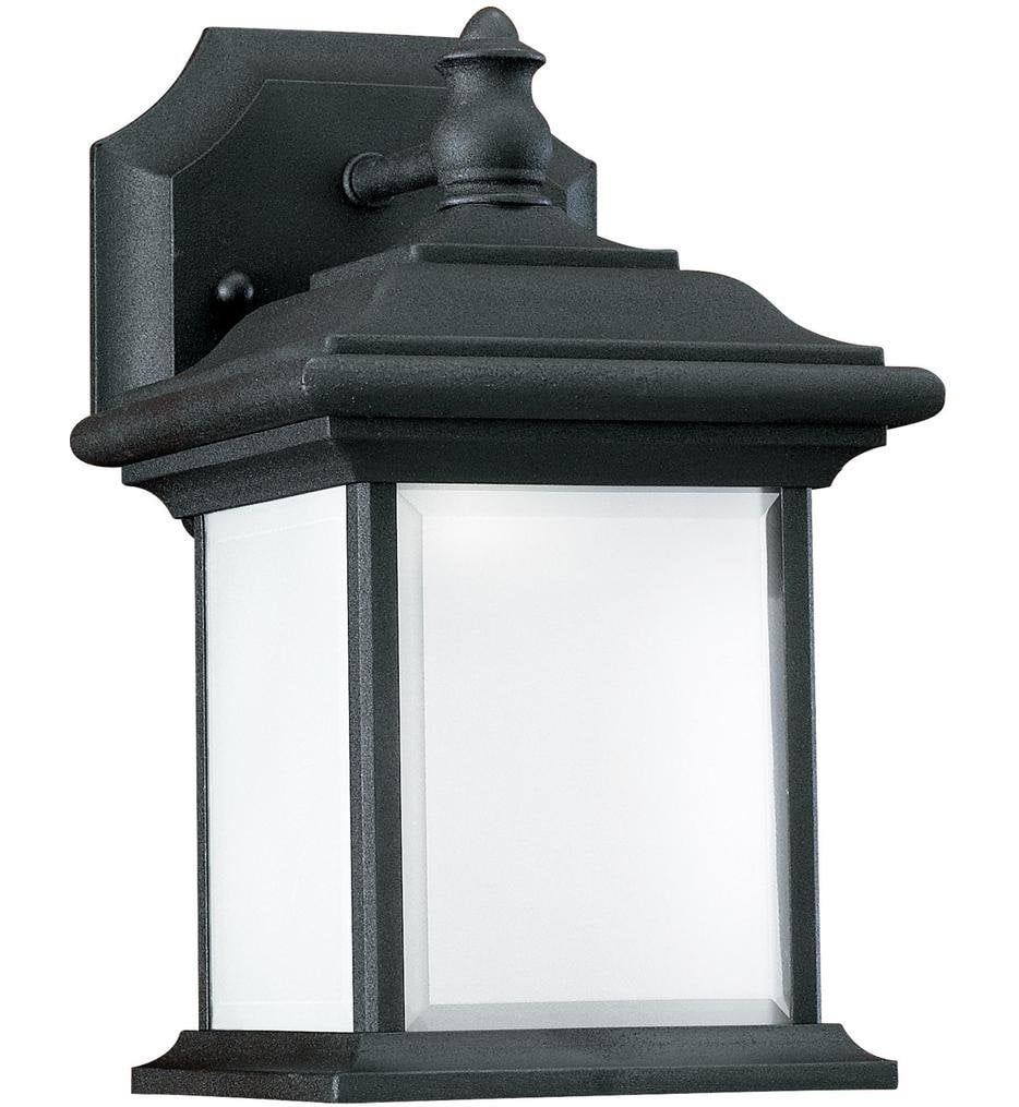 Wynfield 9.75" Outdoor Wall Sconce