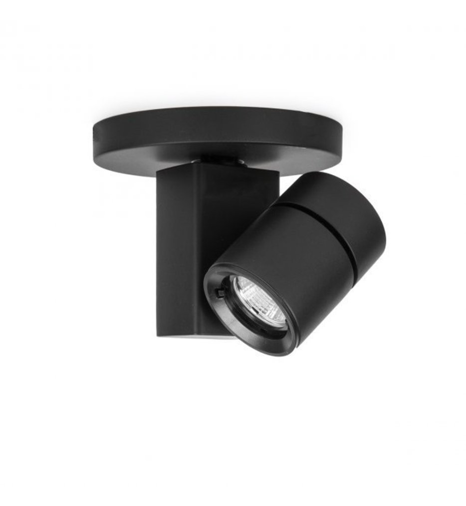 WAC Lighting - Exterminator II LED Narrow Flood Beam Ceiling Monopoint