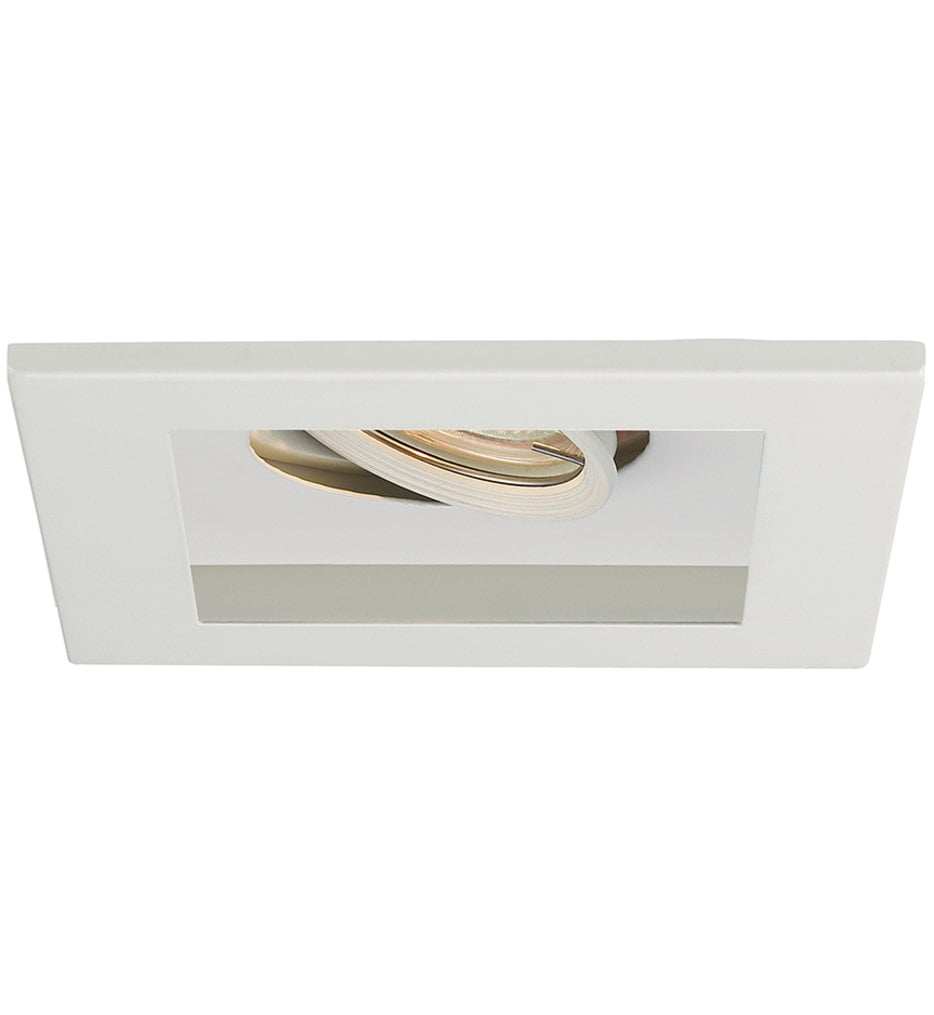 WAC 1 Light Visible Low Voltage Multispot Recessed Trim