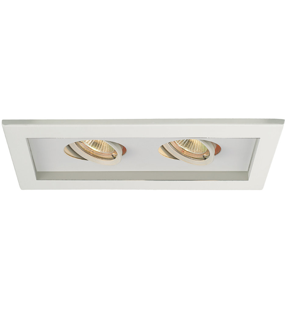 WAC 2 Light Visible Low Voltage Multispot Recessed Trim