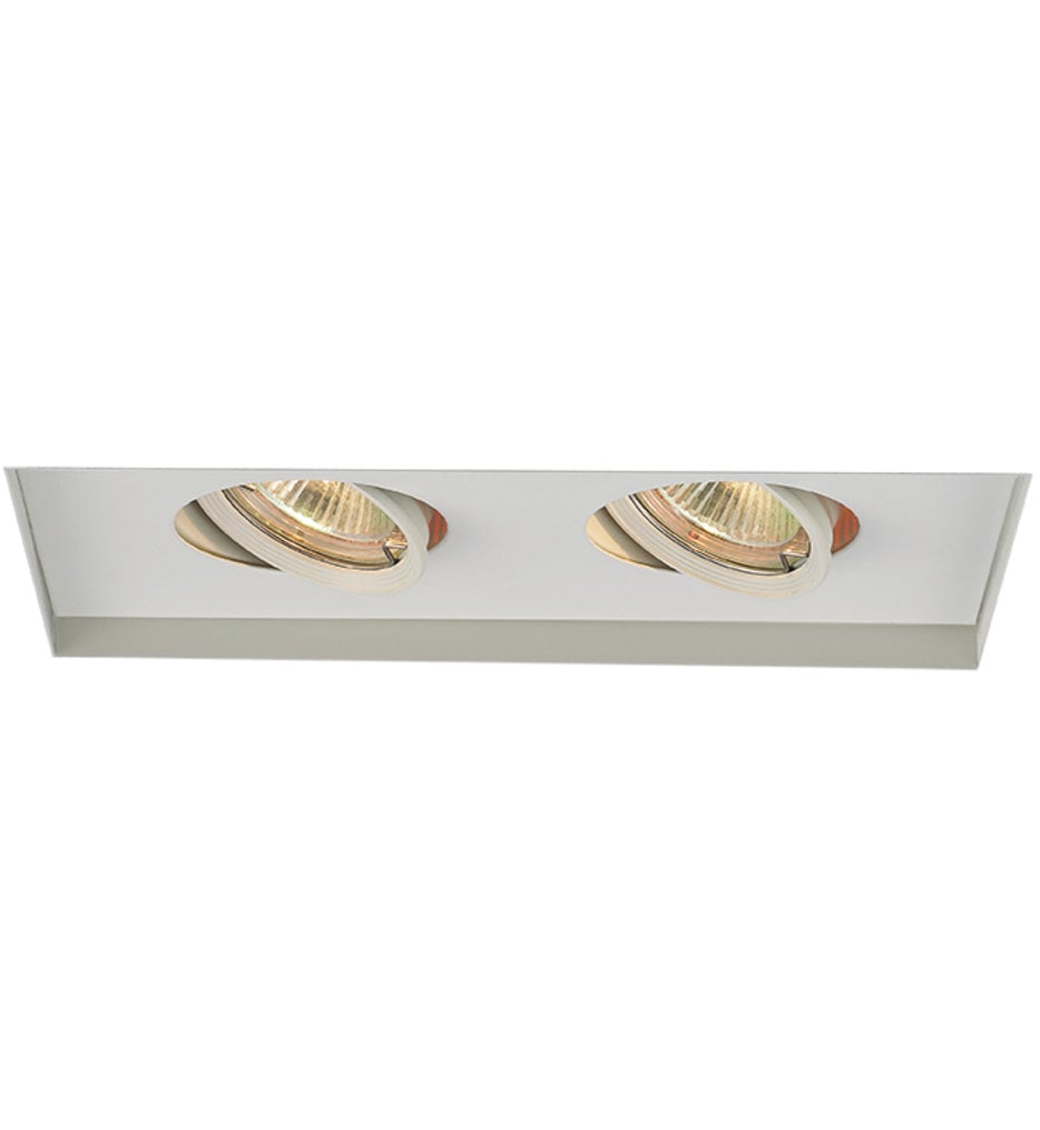 WAC 2 Light Invisible Low Voltage Multispot Recessed Trim