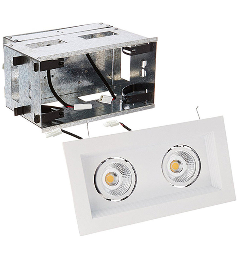 WAC Lighting Mini Multiples Remodel LED Wide Flood Beam 2 Light