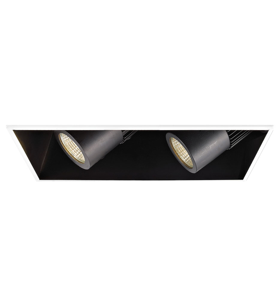 WAC Lighting - Flood Beam 010V Dim Non-IC Volt 2 Light LED Precision Housing & Module