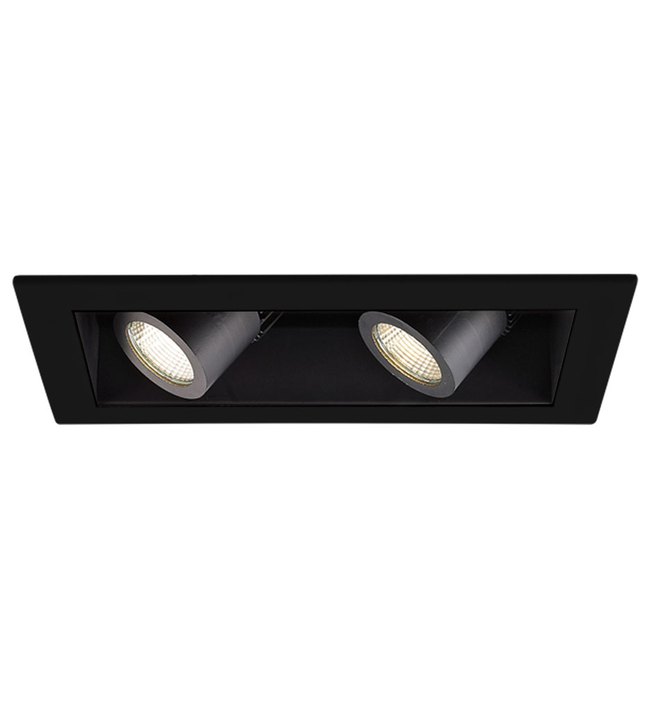 WAC Lighting - Visible Trim 2 Light LED Precision Module Trim