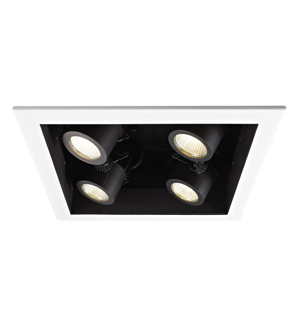 0-10V Dim Non-IC 2 Light LED Precision 10.75" Housing & Module