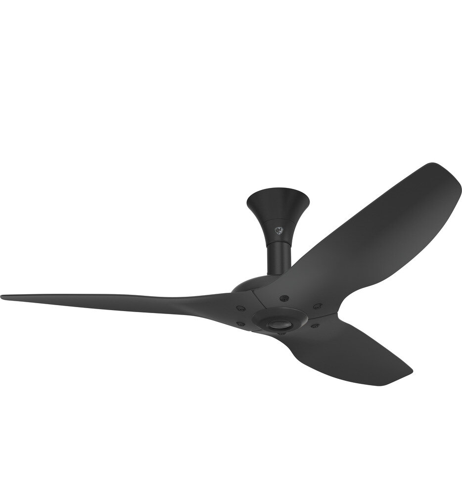 Haiku Flush Mount Fan