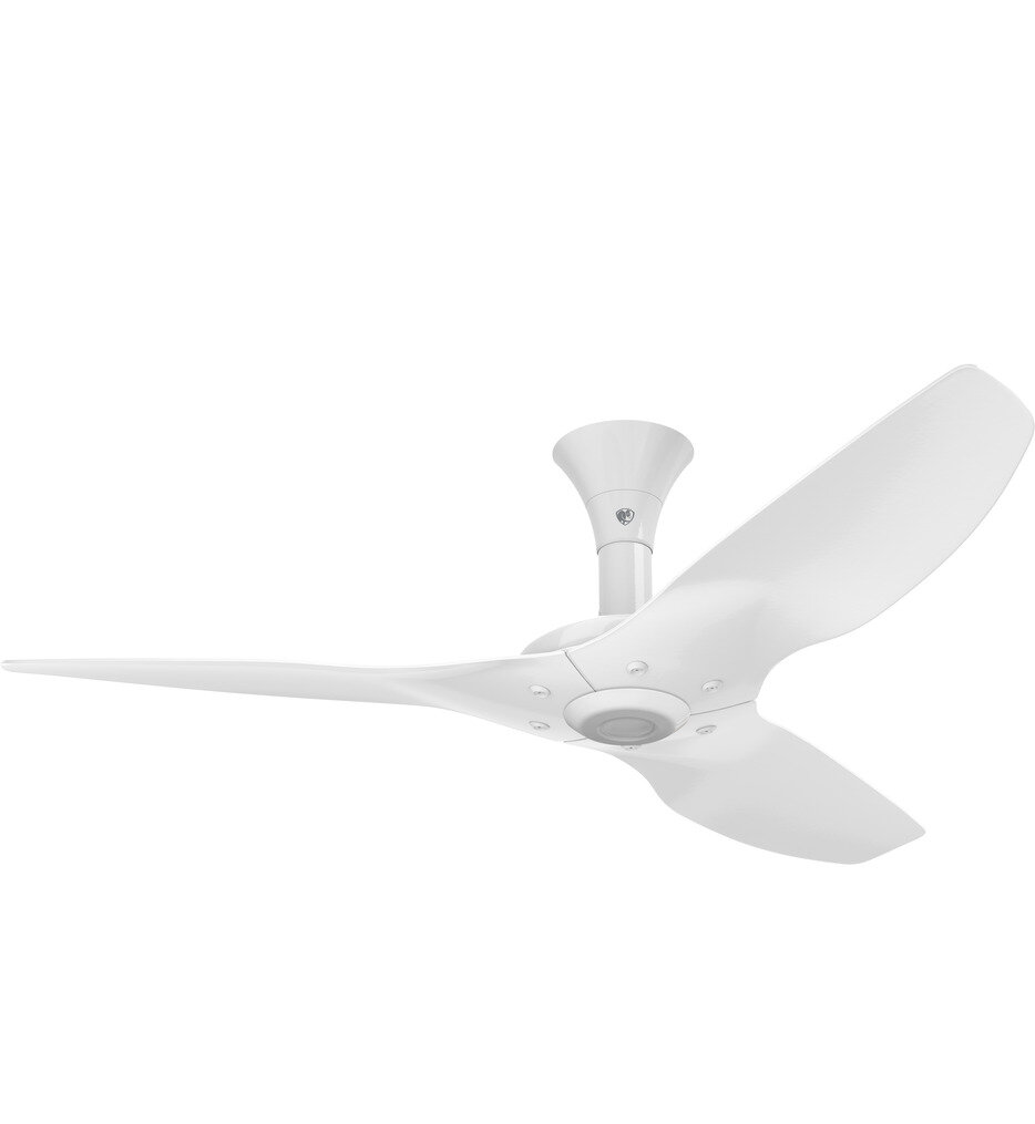 Haiku Flush Mount Fan
