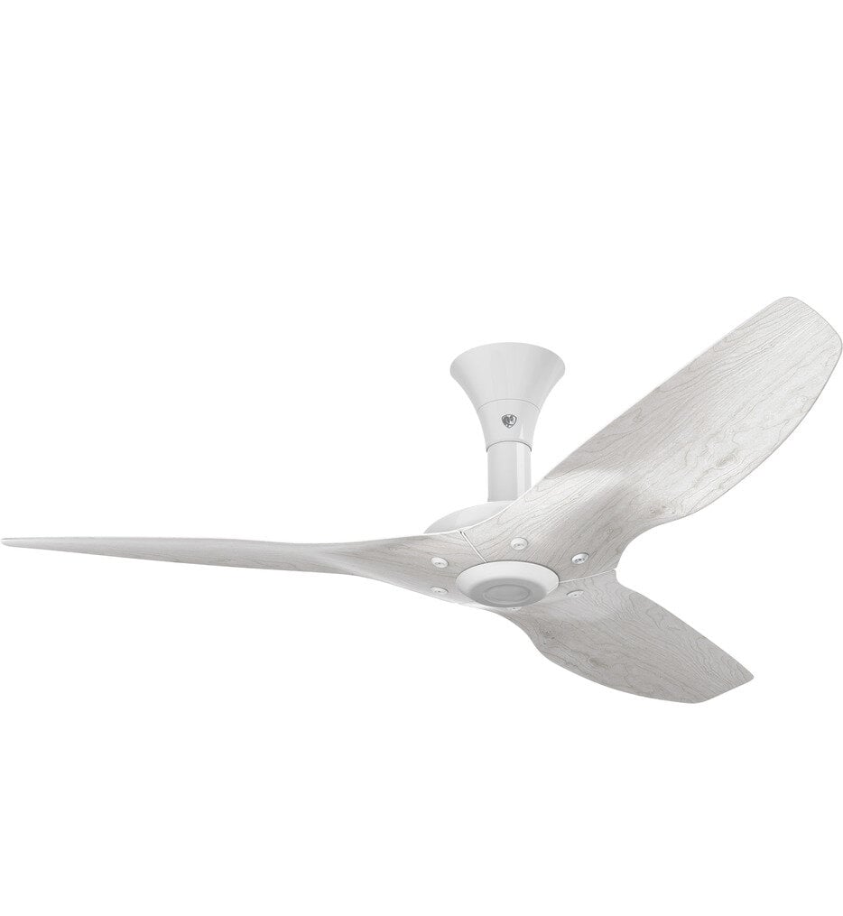 Haiku Flush Mount Fan