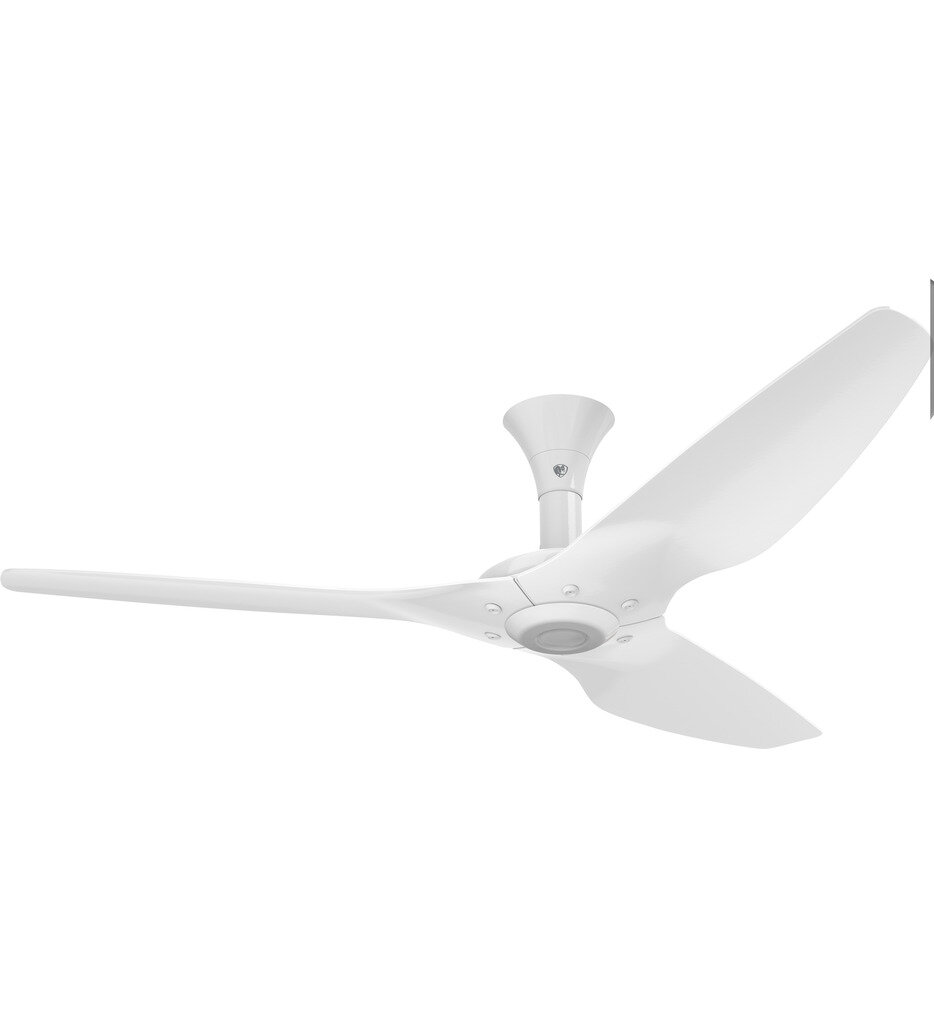 Haiku Flush Mount Fan