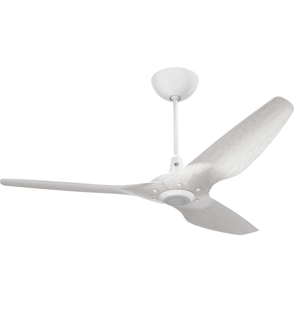 Haiku Ceiling Fan