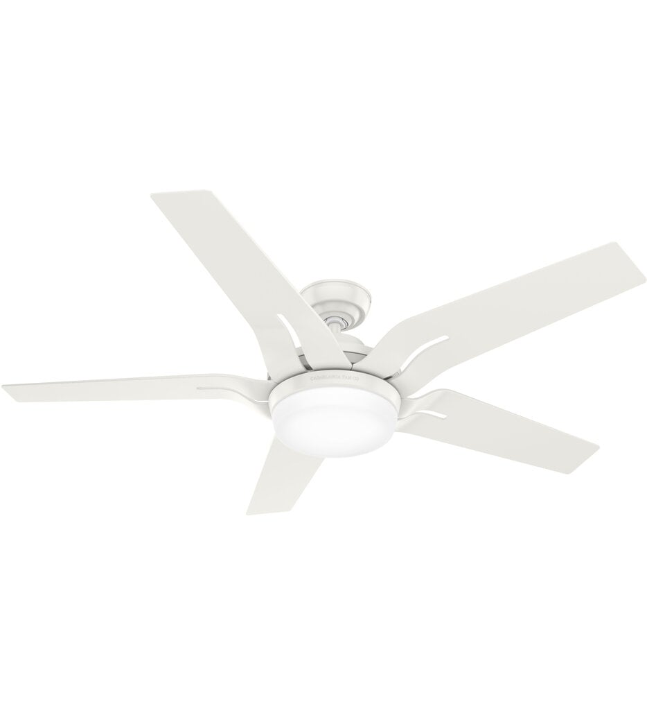 Correne Ceiling Fan
