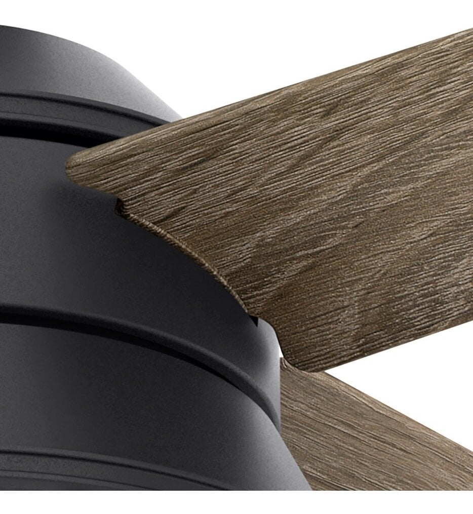 Seafarer 54" Ceiling Fan