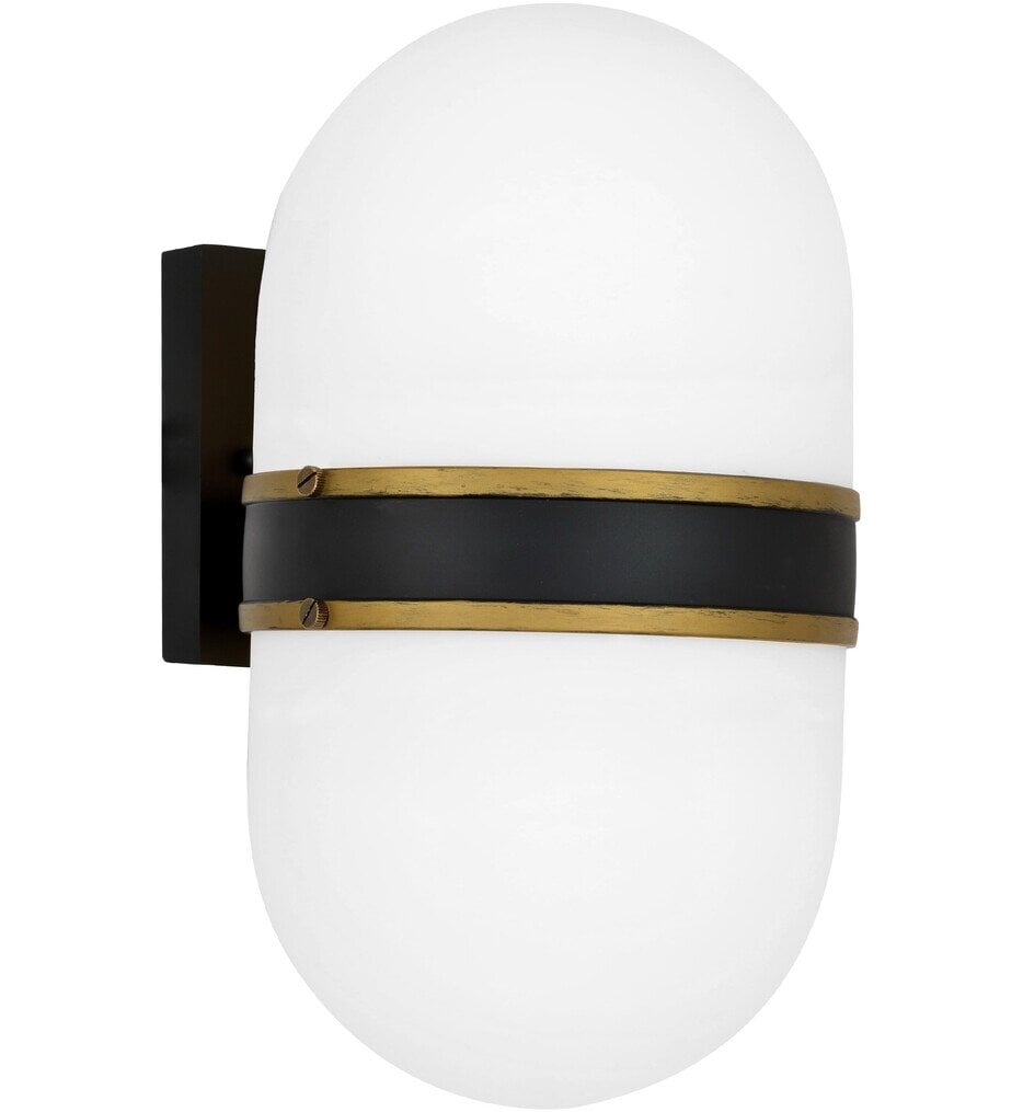 Capsule 13.25" Outdoor Wall Sconce