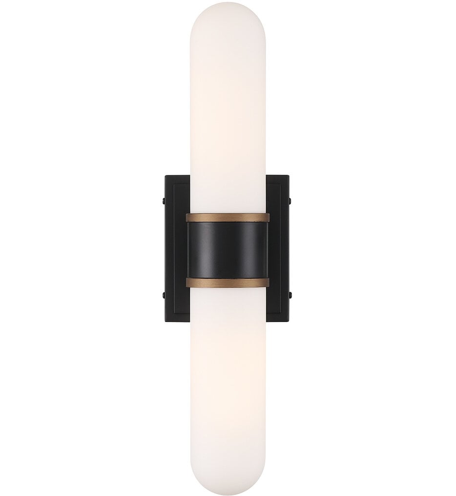 Capsule 18.5" Wall Sconce