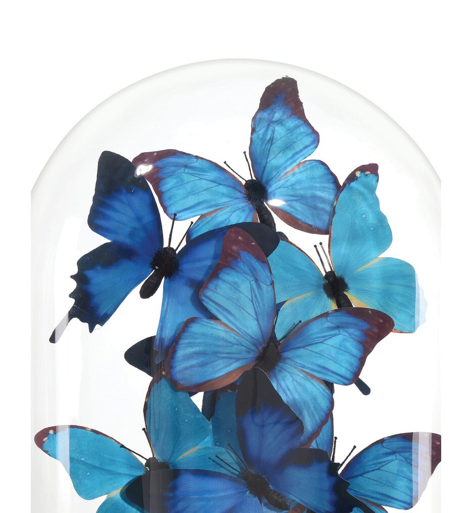 Rue de Bac Butterflies