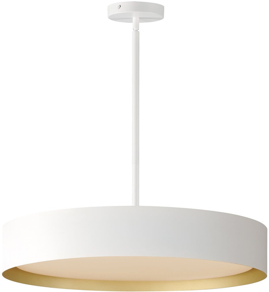 Echo 24" Pendant