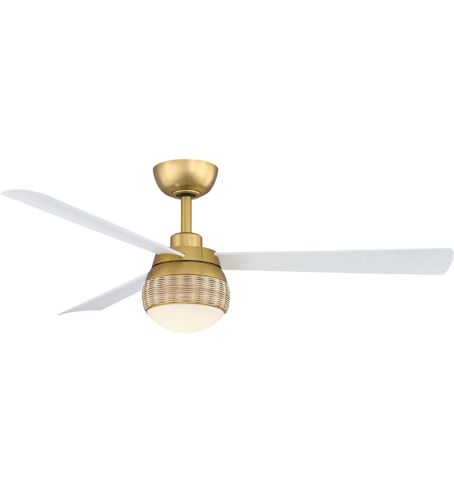 Paget 52" Indoor/Outdoor Ceiling Fan