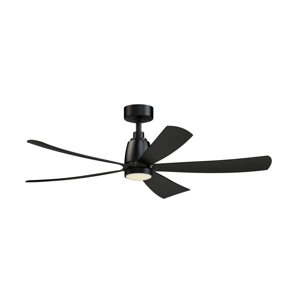 Kute Ceiling Fan