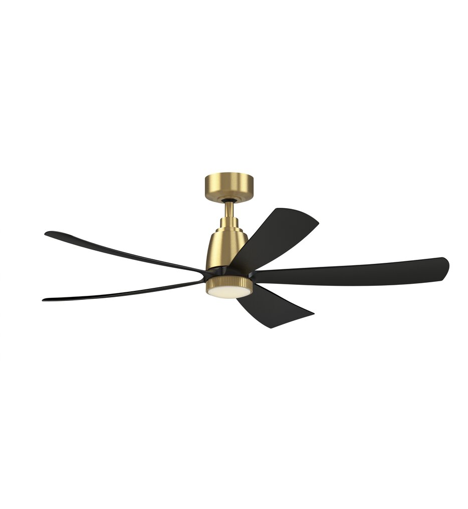 Kute Ceiling Fan