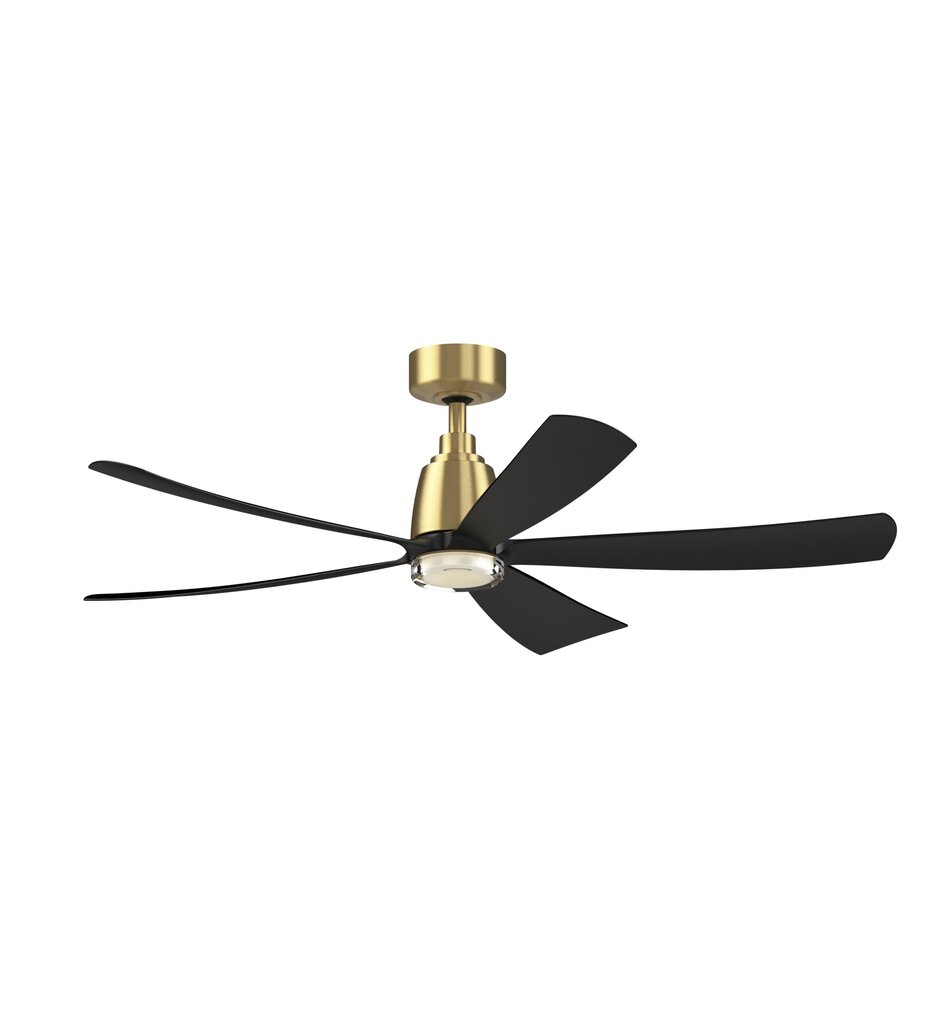 Kute Ceiling Fan