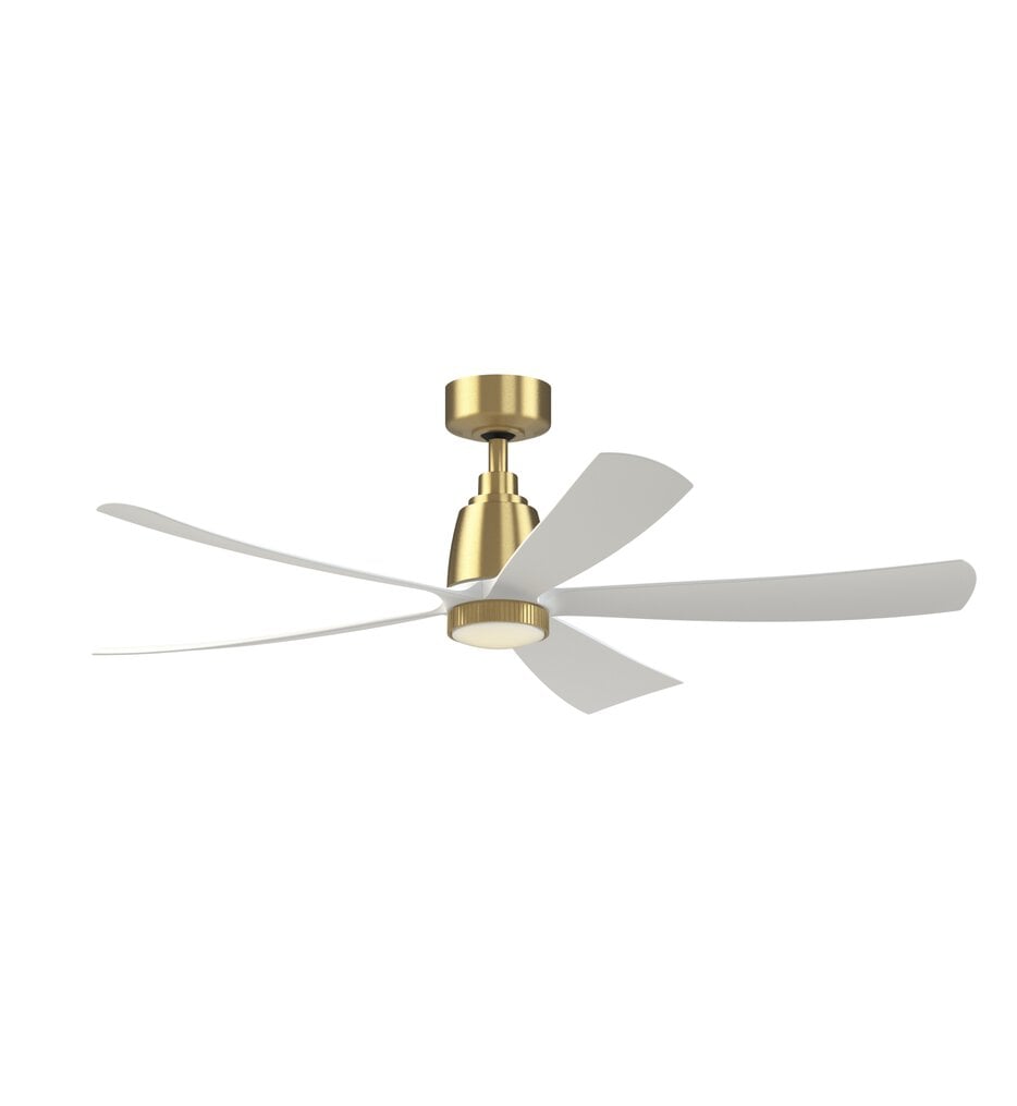 Kute Ceiling Fan