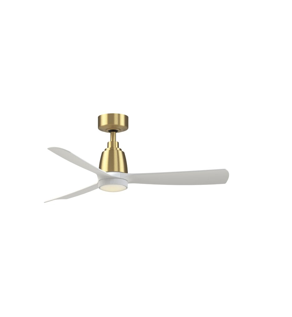 Kute Ceiling Fan