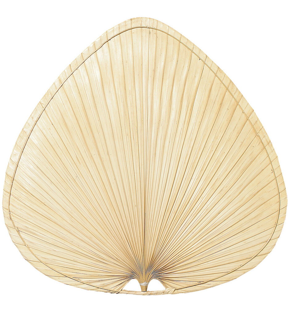 Fanimation - ISP1 - 22" Wide Oval Blades