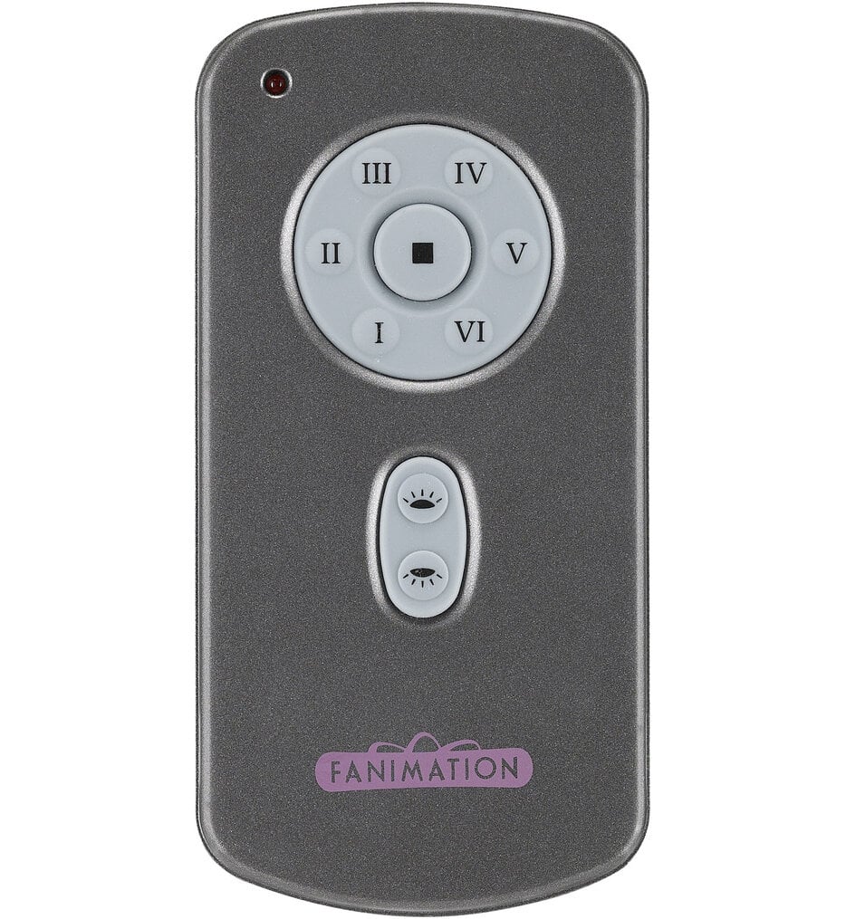 Hand Held DC Motor Remote & Transmitter