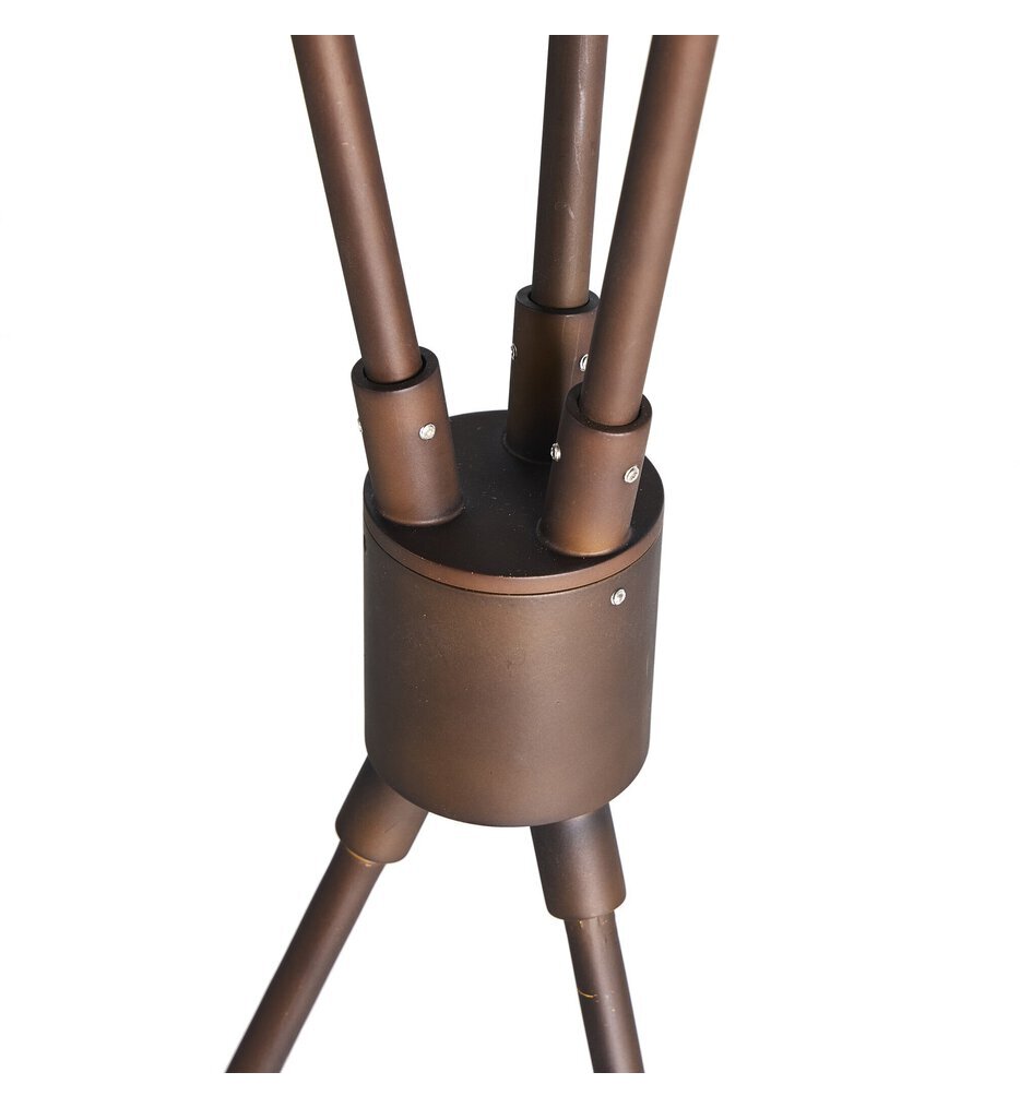 Ludwig 70" Floor Lamp