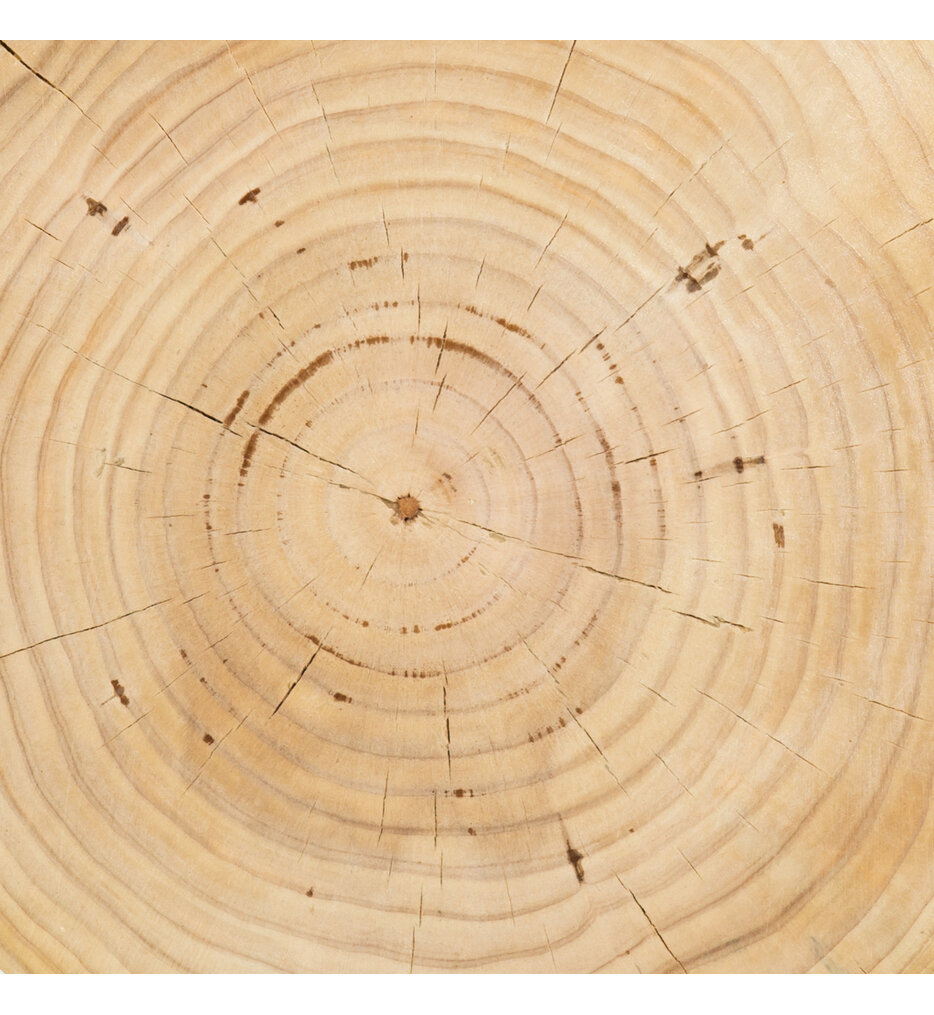 Four Hands CBSH024 Aliza End Table