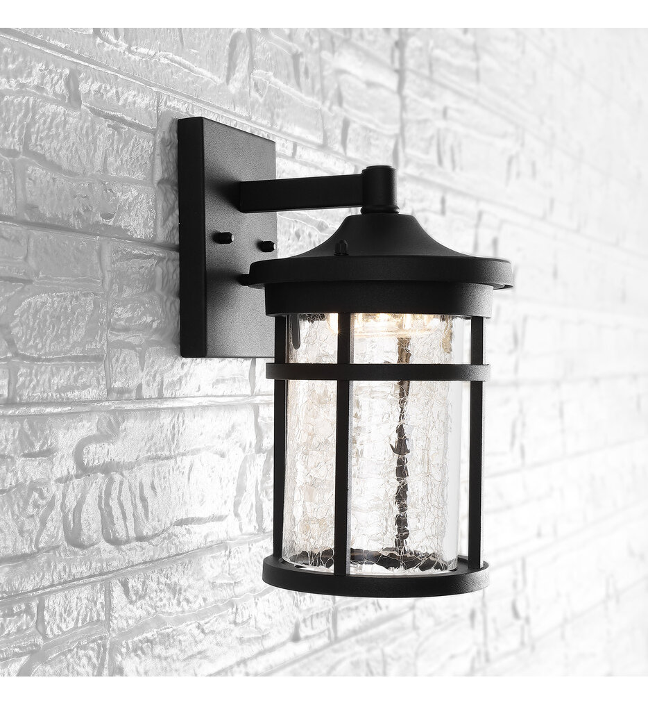 Campo 11.50" Outdoor Wall Sconce