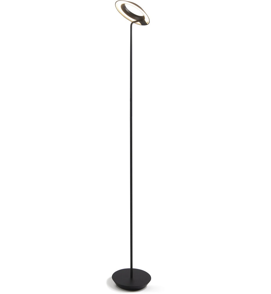 Royyo 45.5" Floor Lamp