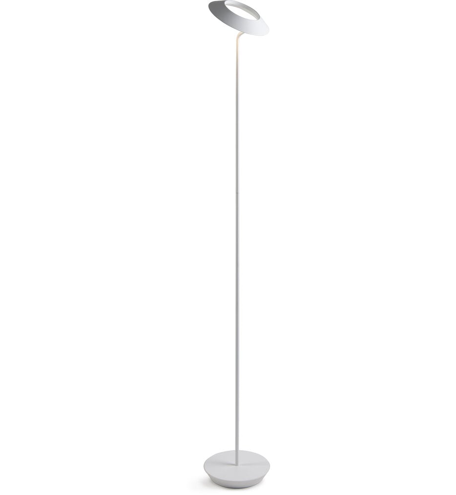 Royyo 45.5" Floor Lamp