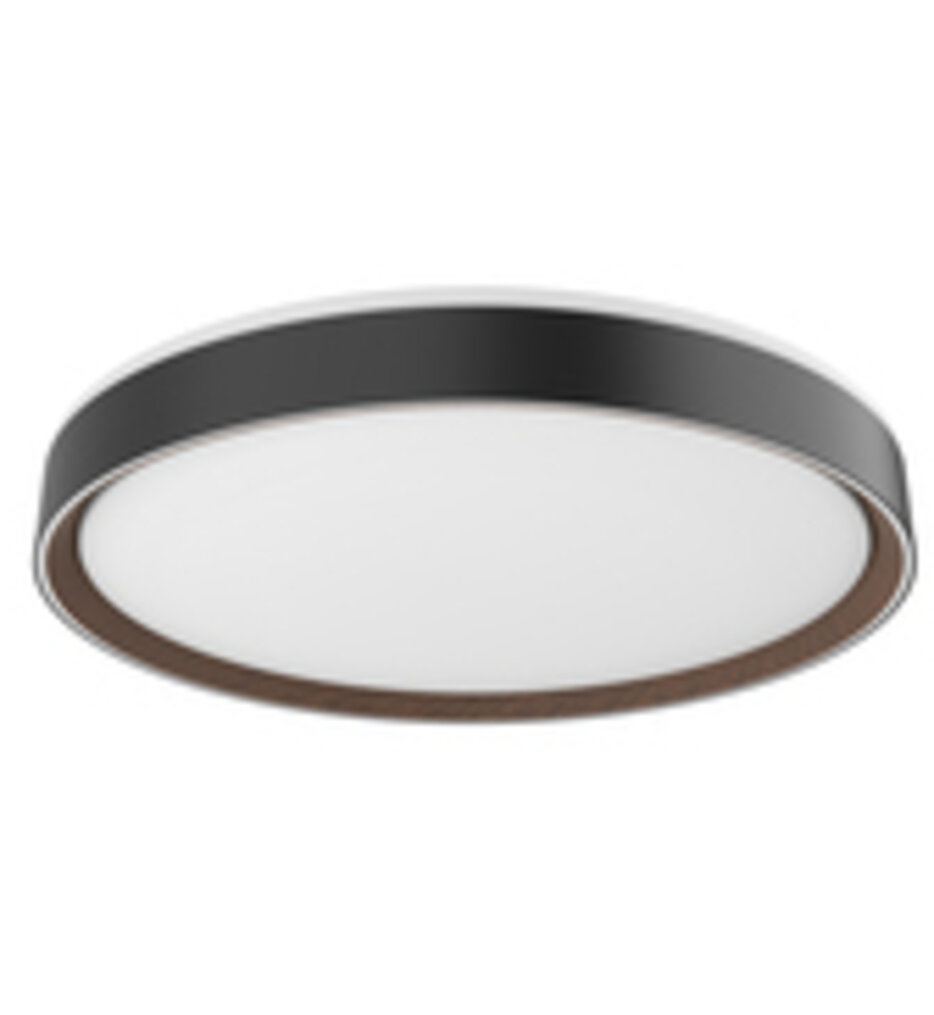 Essex 19.75" Flush Mount