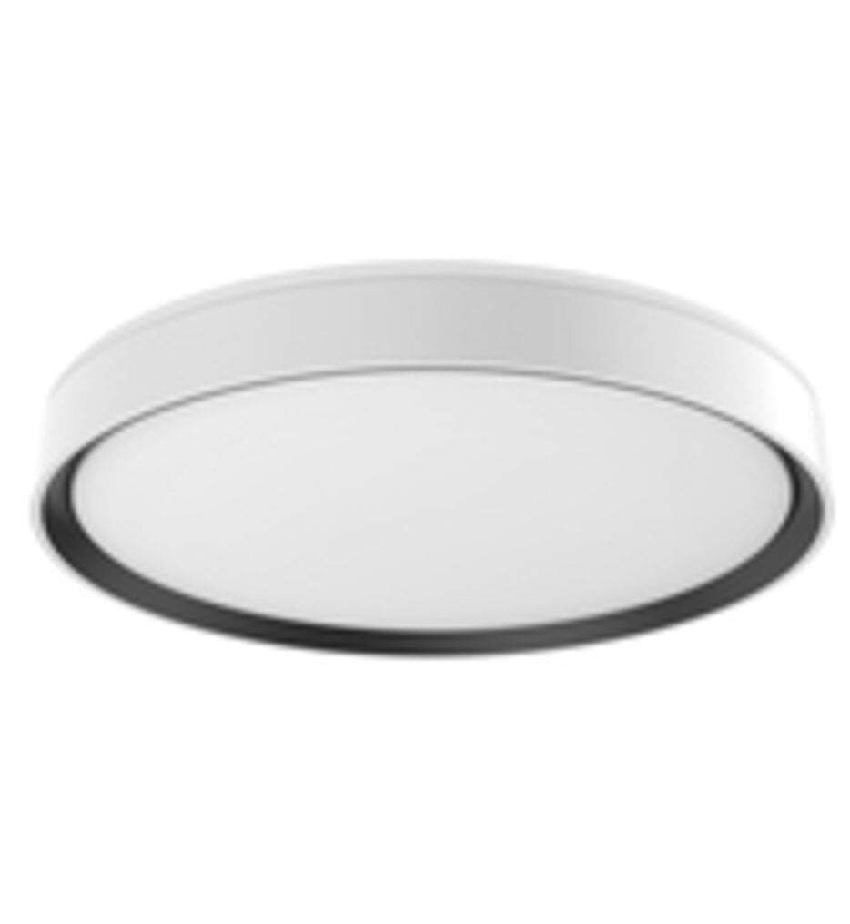 Essex 19.75" Flush Mount