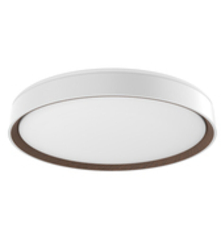 Essex 19.75" Flush Mount