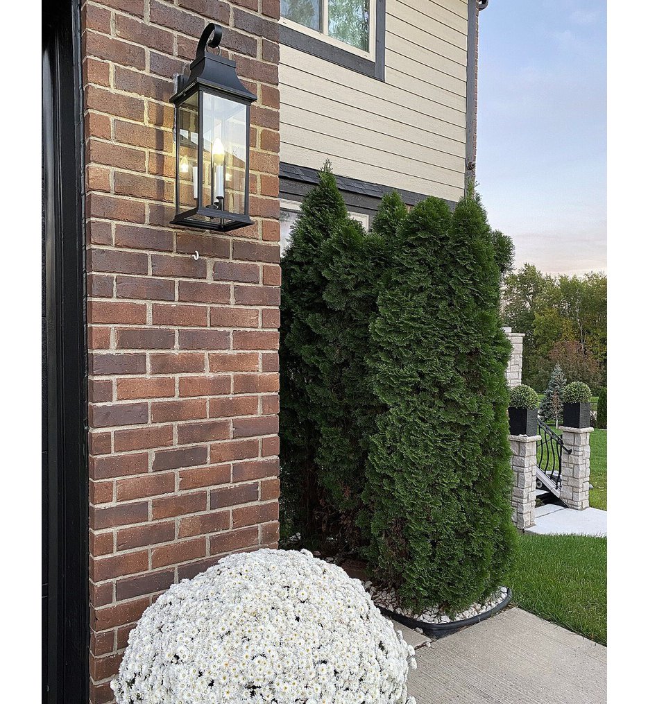 Vicksburg 24" Outdoor Wall Sconce