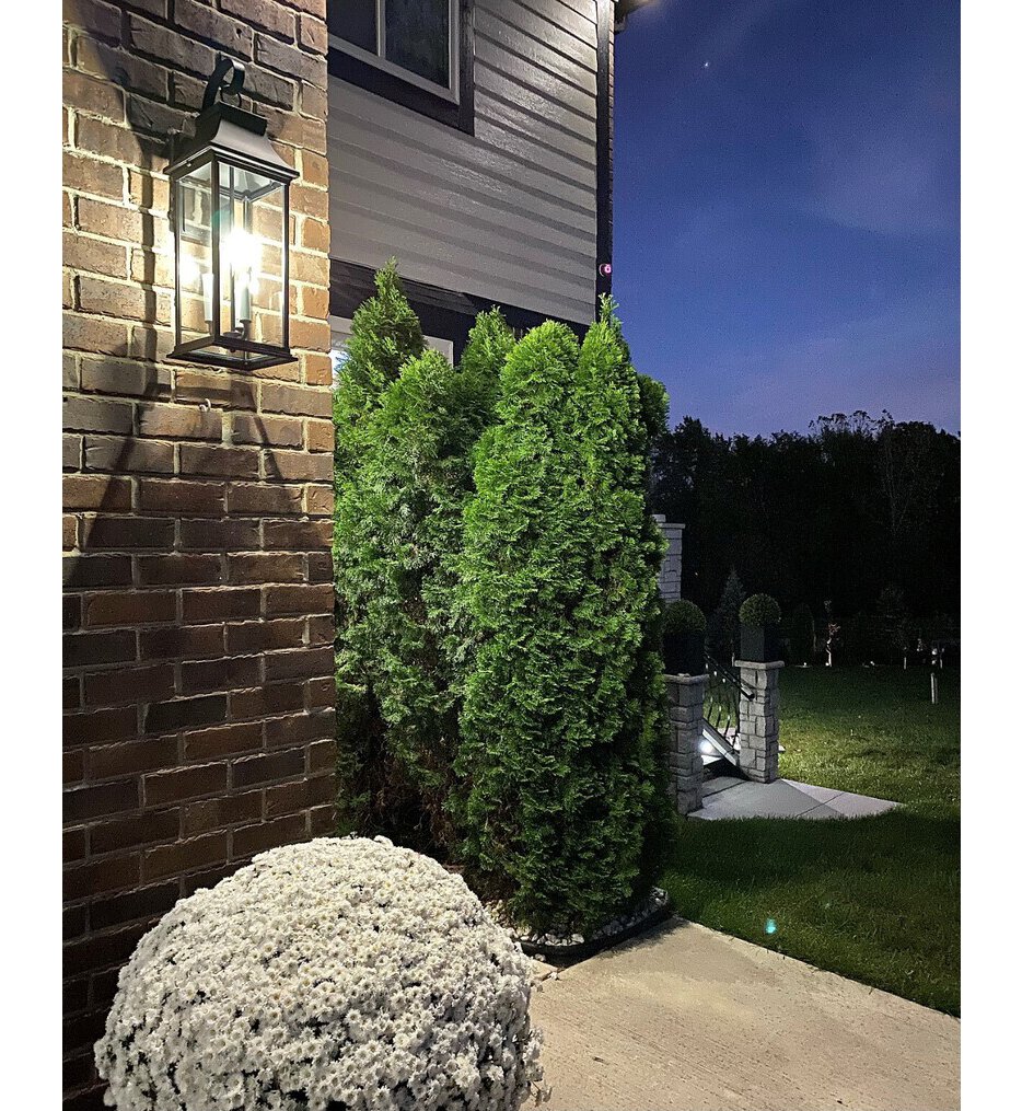 Vicksburg 24" Outdoor Wall Sconce
