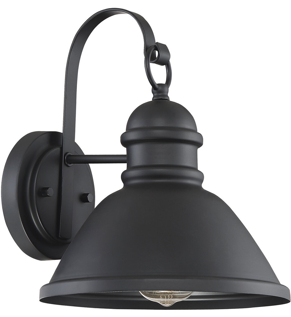 Meridian 12" Outdoor Wall Sconce