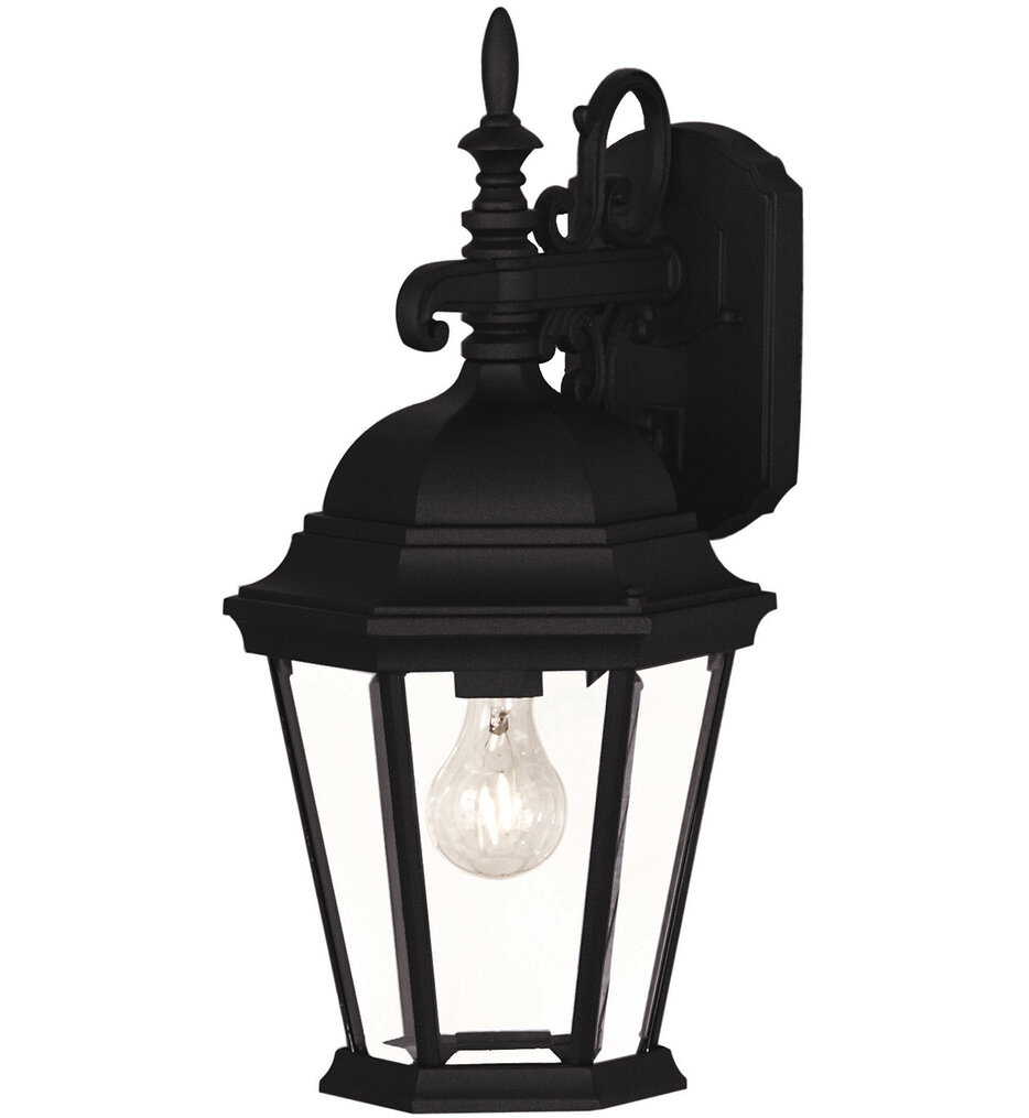 Meridian - M50055BK - Meridian 18" Outdoor Wall Lantern