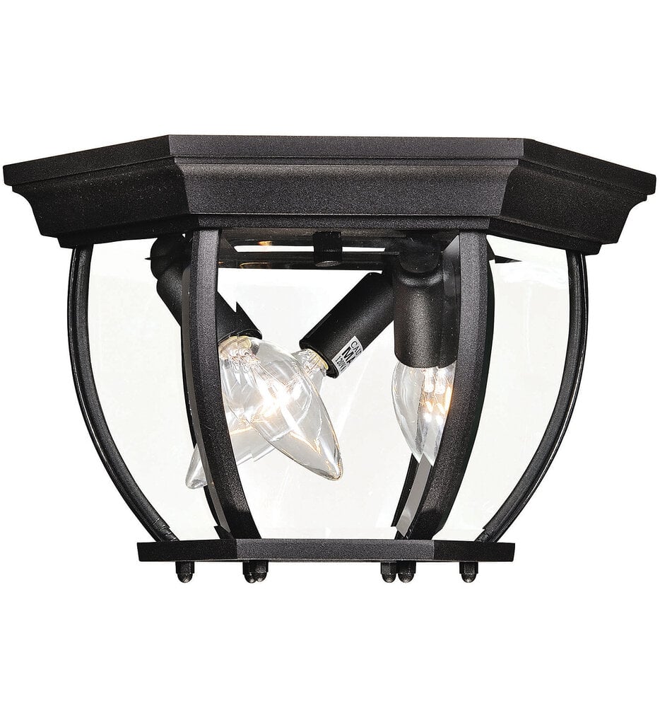 Meridian 9" Outdoor Flush Mount