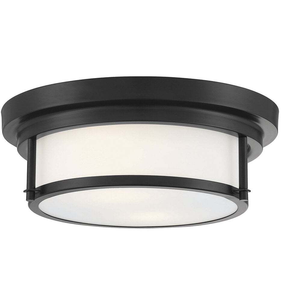 Meridian 13" Flush Mount