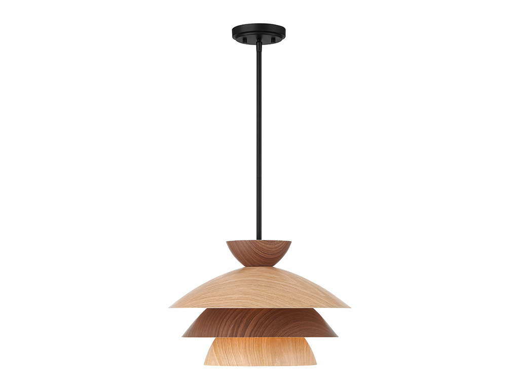 Meridian - M7039MBK - Meridian 17" Pendant
