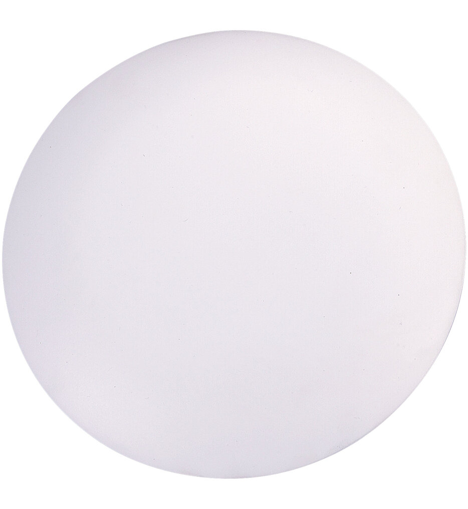 Discus Blanking Plate