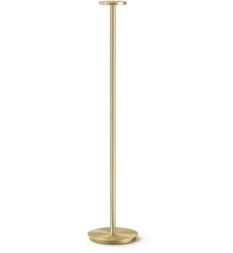 Pablo Designs - Luci 41" Floor Lamp