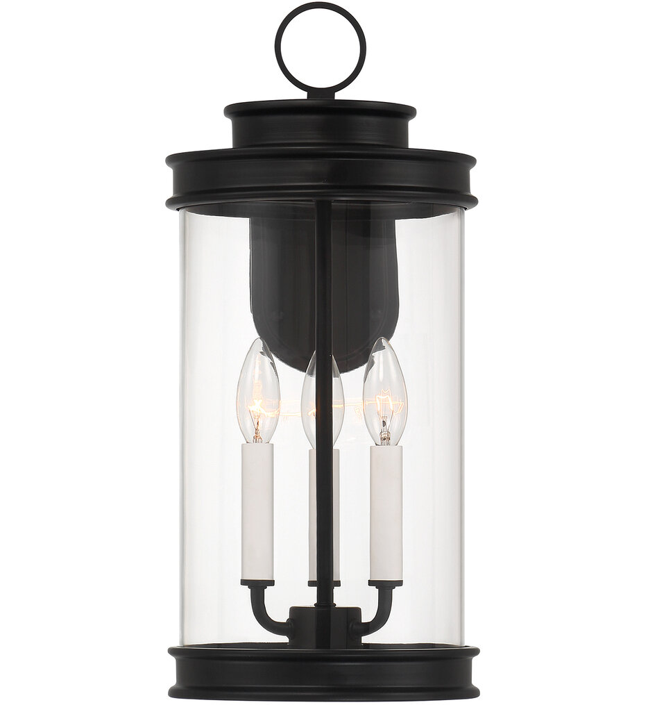 Englewood 19" Outdoor Wall Sconce