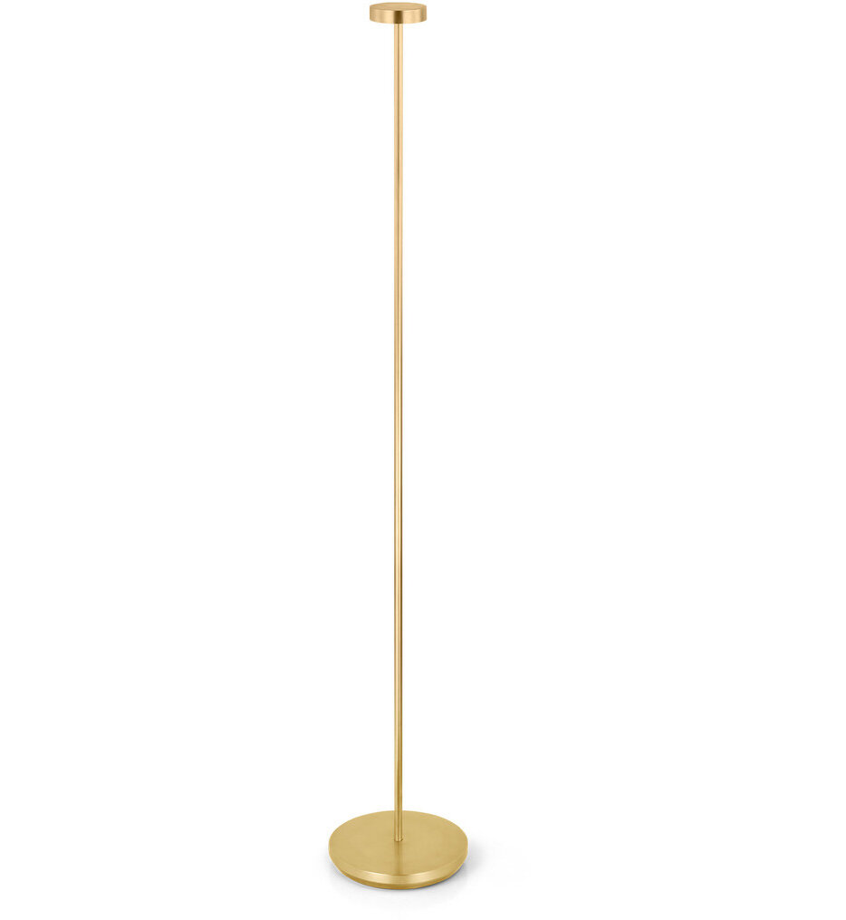Moneta 49" Floor Lamp
