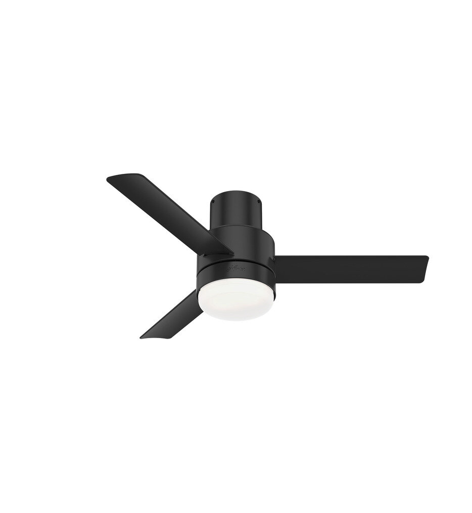 Hunter - Gilmour Flush Mount Fan