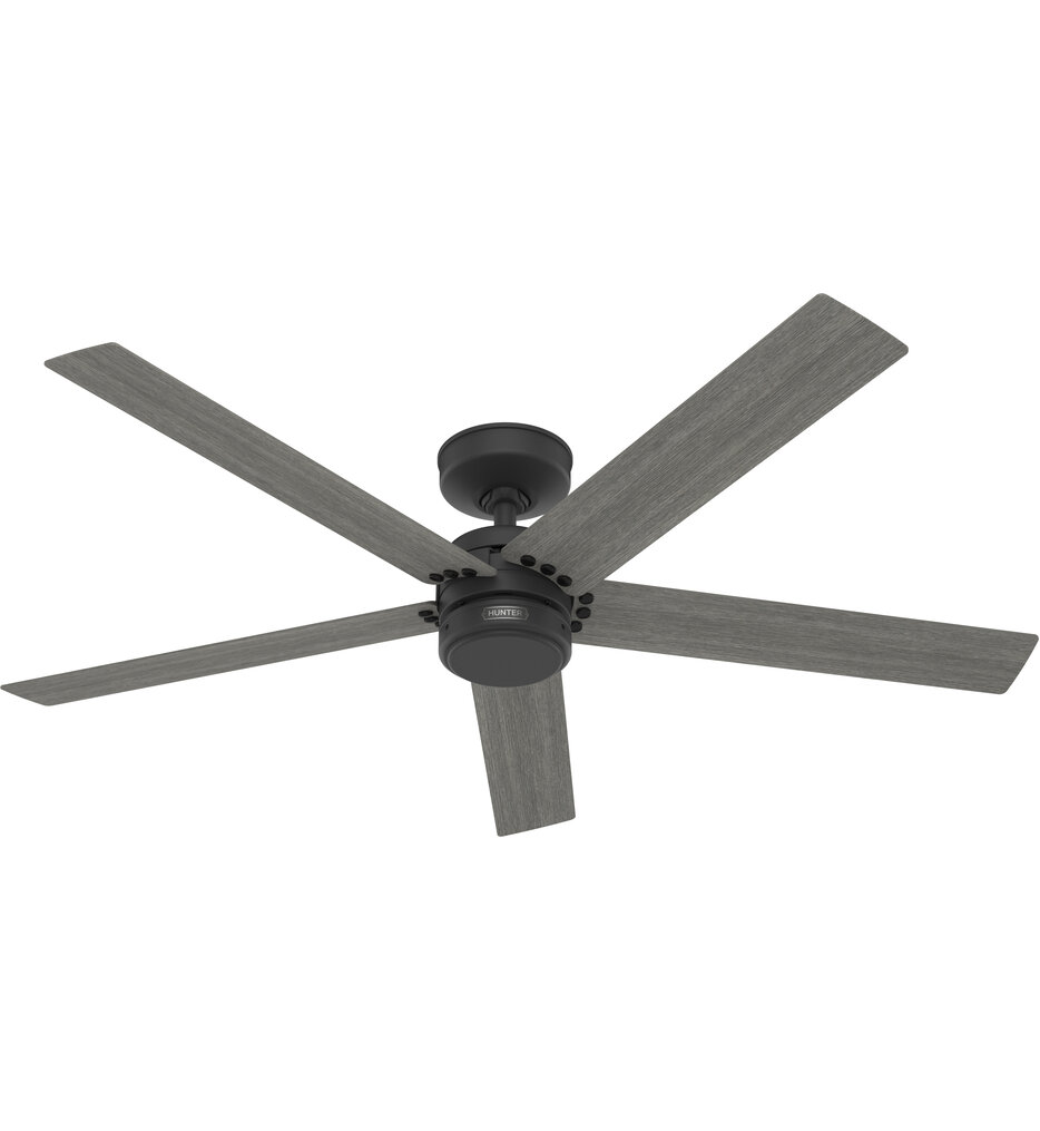 Hunter - Burton Ceiling Fan